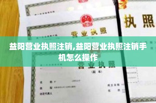 益阳营业执照注销,益阳营业执照注销手机怎么操作