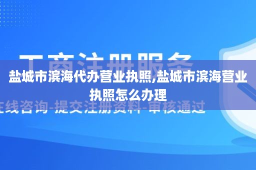 盐城市滨海代办营业执照,盐城市滨海营业执照怎么办理