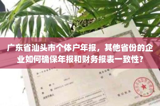 广东省汕头市个体户年报，其他省份的企业如何确保年报和财务报表一致性？