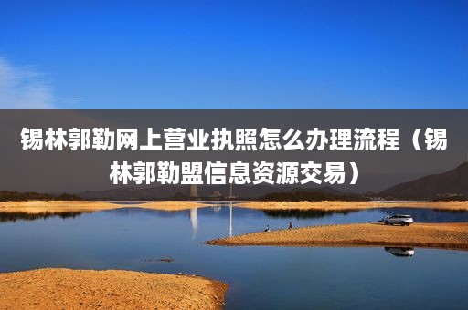 锡林郭勒网上营业执照怎么办理流程（锡林郭勒盟信息资源交易）