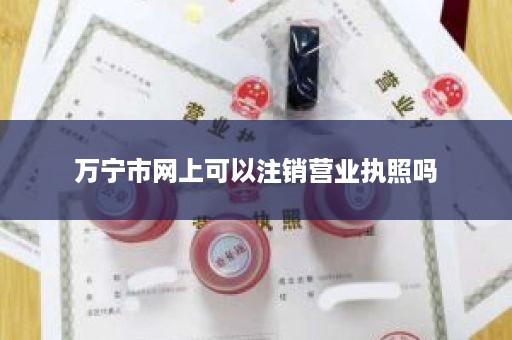 万宁市网上可以注销营业执照吗