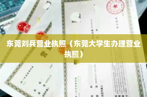 东莞刘兵营业执照（东莞大学生办理营业执照）