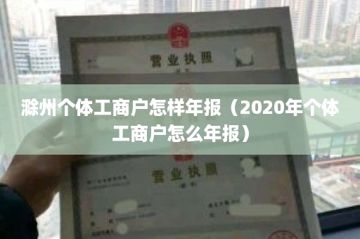 滁州个体工商户怎样年报（2020年个体工商户怎么年报）