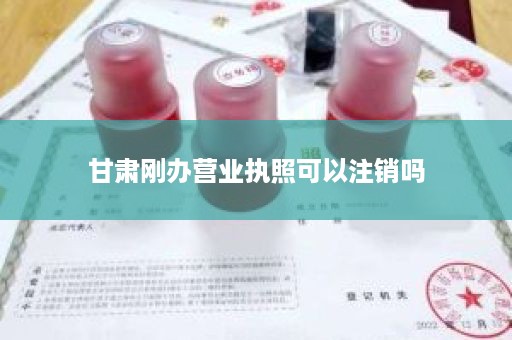 甘肃刚办营业执照可以注销吗