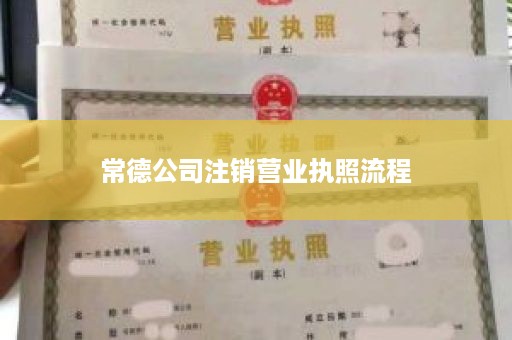 常德公司注销营业执照流程