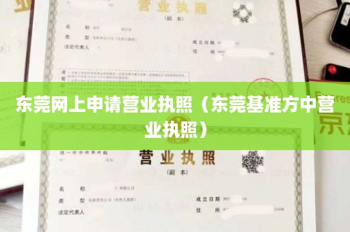 东莞网上申请营业执照（东莞基准方中营业执照）