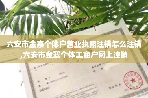 六安市金寨个体户营业执照注销怎么注销,六安市金寨个体工商户网上注销