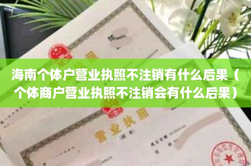 海南个体户营业执照不注销有什么后果（个体商户营业执照不注销会有什么后果）