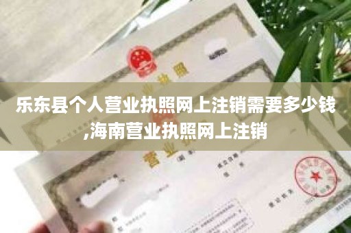 乐东县个人营业执照网上注销需要多少钱,海南营业执照网上注销