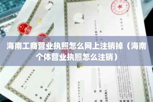 海南工商营业执照怎么网上注销掉（海南个体营业执照怎么注销）