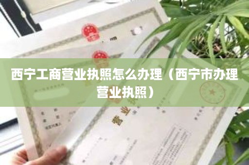 西宁工商营业执照怎么办理（西宁市办理营业执照）