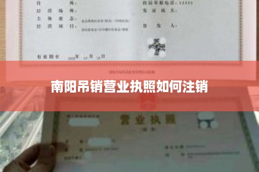 南阳吊销营业执照如何注销