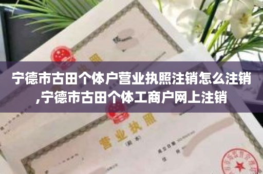 宁德市古田个体户营业执照注销怎么注销,宁德市古田个体工商户网上注销