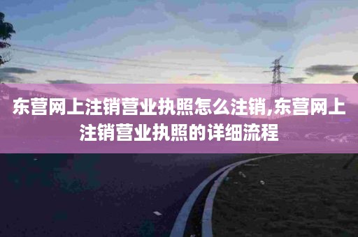 东营网上注销营业执照怎么注销,东营网上注销营业执照的详细流程