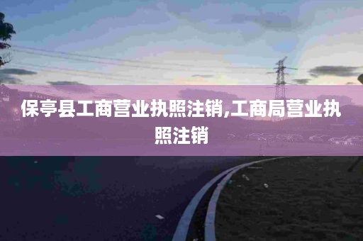 保亭县工商营业执照注销,工商局营业执照注销