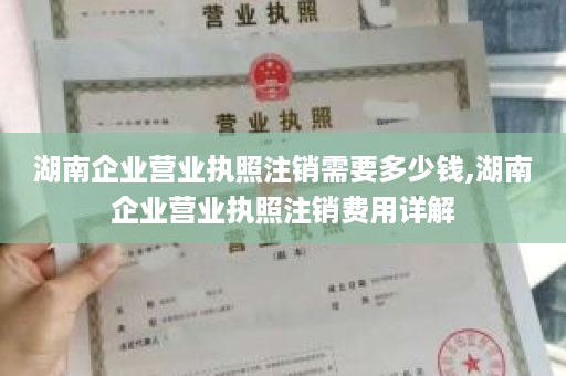 湖南企业营业执照注销需要多少钱,湖南企业营业执照注销费用详解