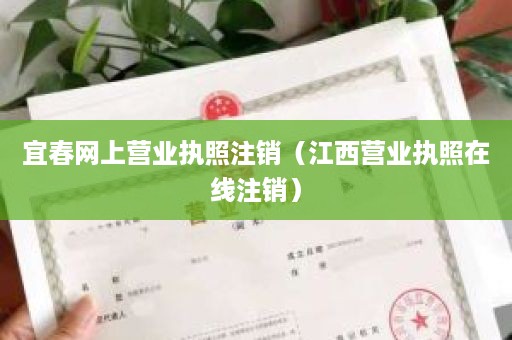 宜春网上营业执照注销（江西营业执照在线注销）