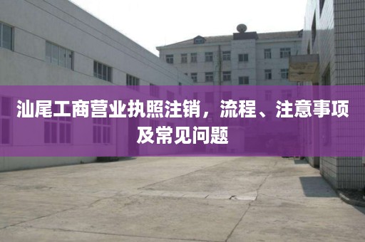 汕尾工商营业执照注销，流程、注意事项及常见问题