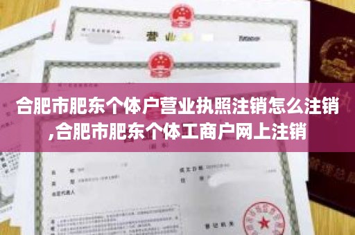 合肥市肥东个体户营业执照注销怎么注销,合肥市肥东个体工商户网上注销