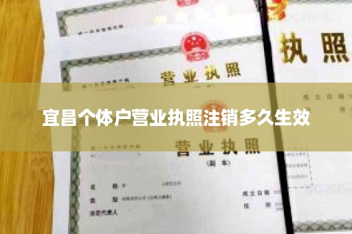 宜昌个体户营业执照注销多久生效