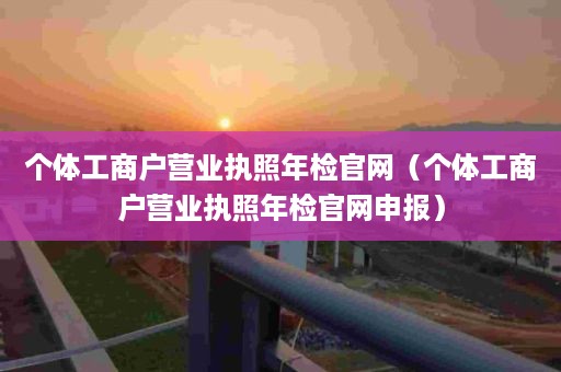 个体工商户营业执照年检官网（个体工商户营业执照年检官网申报）