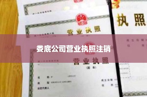 娄底公司营业执照注销