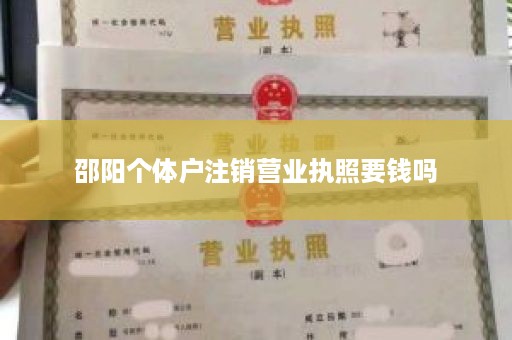 邵阳个体户注销营业执照要钱吗