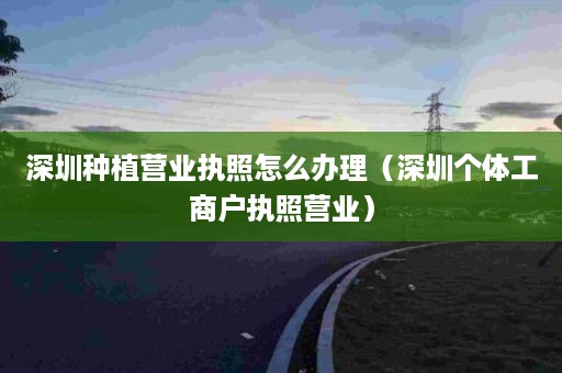 深圳种植营业执照怎么办理（深圳个体工商户执照营业）