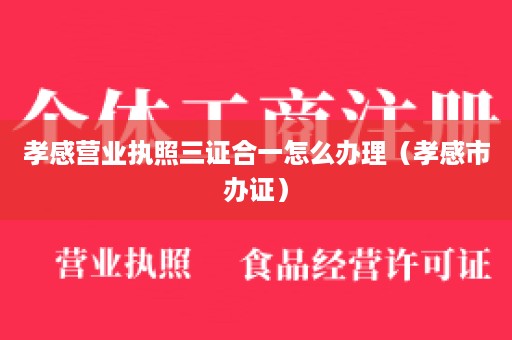 孝感营业执照三证合一怎么办理（孝感市办证）