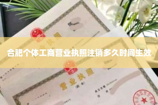 合肥个体工商营业执照注销多久时间生效