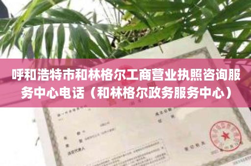 呼和浩特市和林格尔工商营业执照咨询服务中心电话（和林格尔政务服务中心）