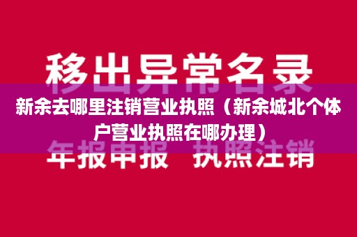 新余去哪里注销营业执照（新余城北个体户营业执照在哪办理）