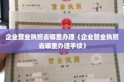 企业营业执照去哪里办理（企业营业执照去哪里办理手续）