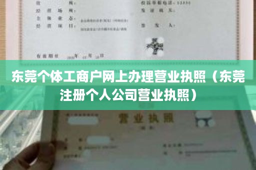 东莞个体工商户网上办理营业执照（东莞注册个人公司营业执照）