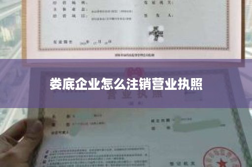 娄底企业怎么注销营业执照