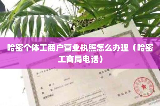 哈密个体工商户营业执照怎么办理（哈密工商局电话）