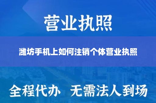 潍坊手机上如何注销个体营业执照