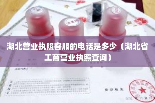 湖北营业执照客服的电话是多少（湖北省工商营业执照查询）