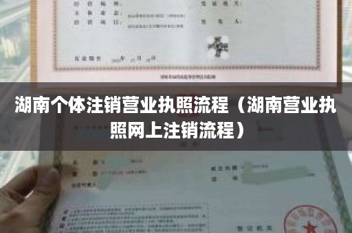 湖南个体注销营业执照流程（湖南营业执照网上注销流程）