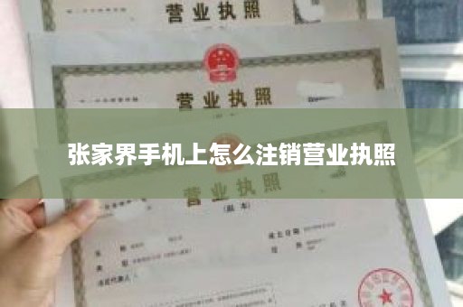 张家界手机上怎么注销营业执照