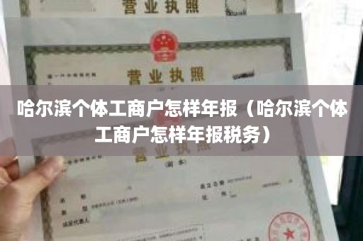 哈尔滨个体工商户怎样年报（哈尔滨个体工商户怎样年报税务）