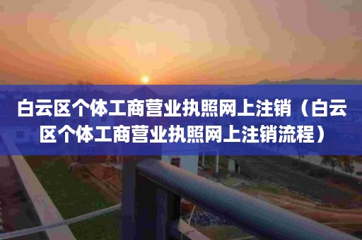 白云区个体工商营业执照网上注销（白云区个体工商营业执照网上注销流程）