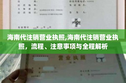 海南代注销营业执照,海南代注销营业执照，流程、注意事项与全程解析