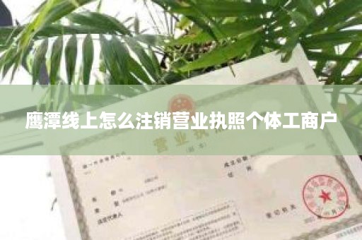 鹰潭线上怎么注销营业执照个体工商户