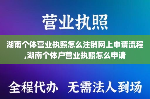 湖南个体营业执照怎么注销网上申请流程,湖南个体户营业执照怎么申请