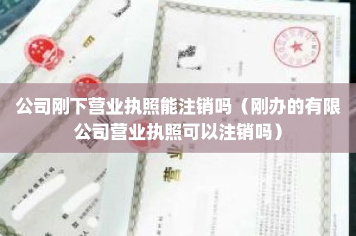 公司刚下营业执照能注销吗（刚办的有限公司营业执照可以注销吗）