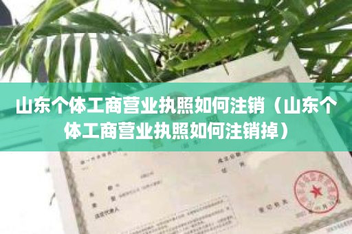 山东个体工商营业执照如何注销（山东个体工商营业执照如何注销掉）