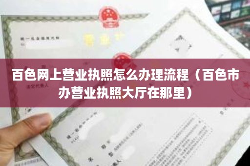 百色网上营业执照怎么办理流程（百色市办营业执照大厅在那里）