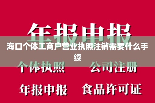 海口个体工商户营业执照注销需要什么手续