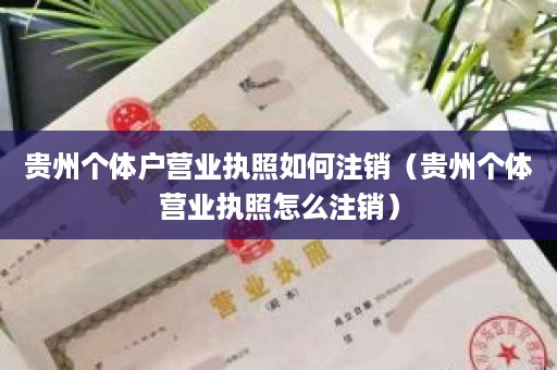 贵州个体户营业执照如何注销（贵州个体营业执照怎么注销）